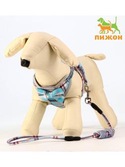 Комплект амуниции с мягкой шлейкой, 1 х 120 см, ОШ 28-54 см,ОГ 36-60 см, серо-голубая клетка