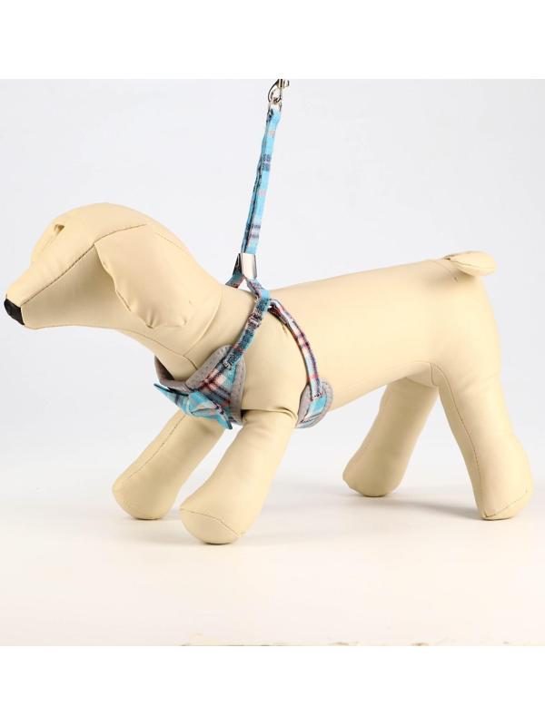 Комплект амуниции с мягкой шлейкой, 1 х 120 см, ОШ 28-54 см,ОГ 36-60 см, серо-голубая клетка