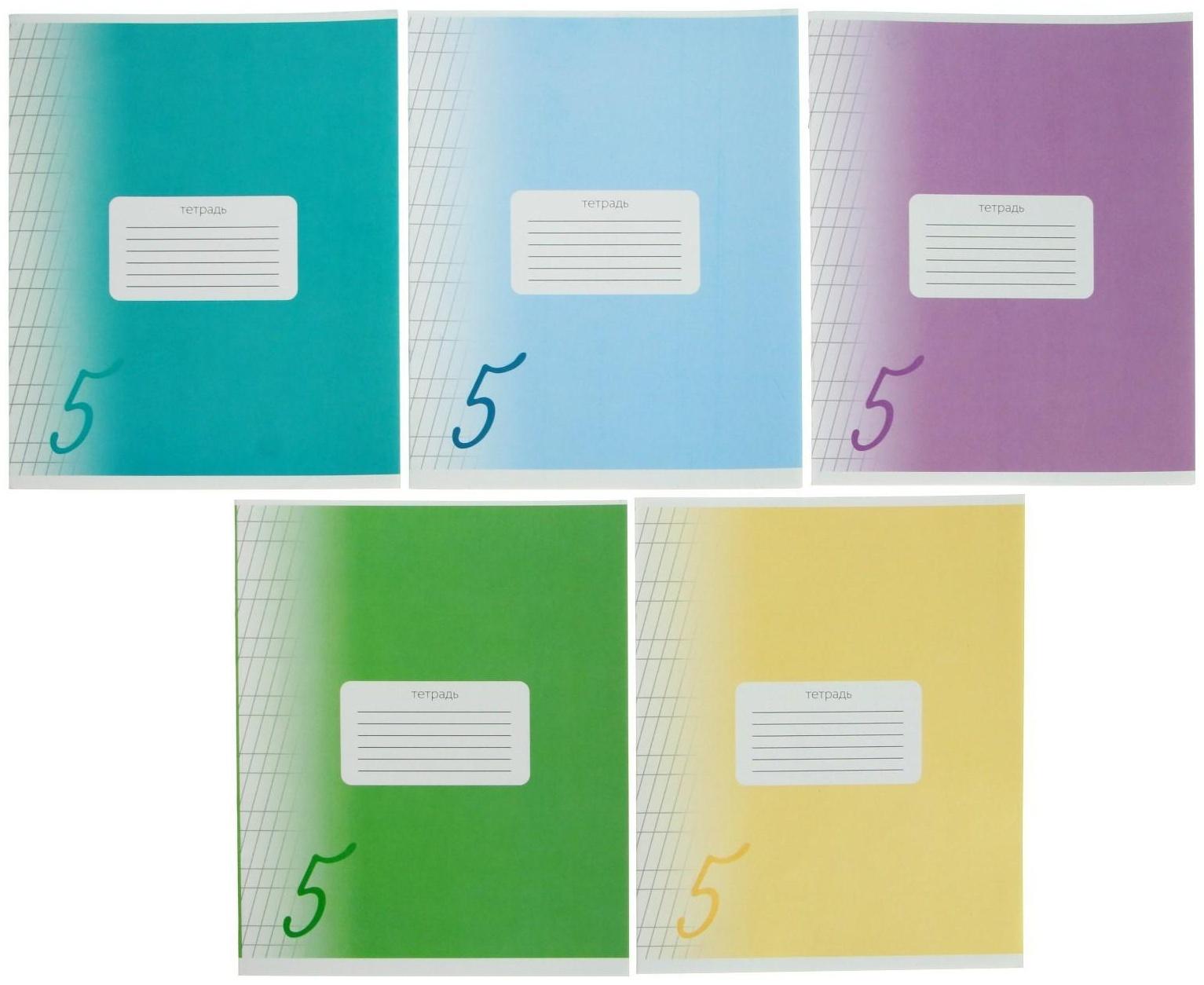 Тетрадь 12 листов в частую косую линейку Calligrata 