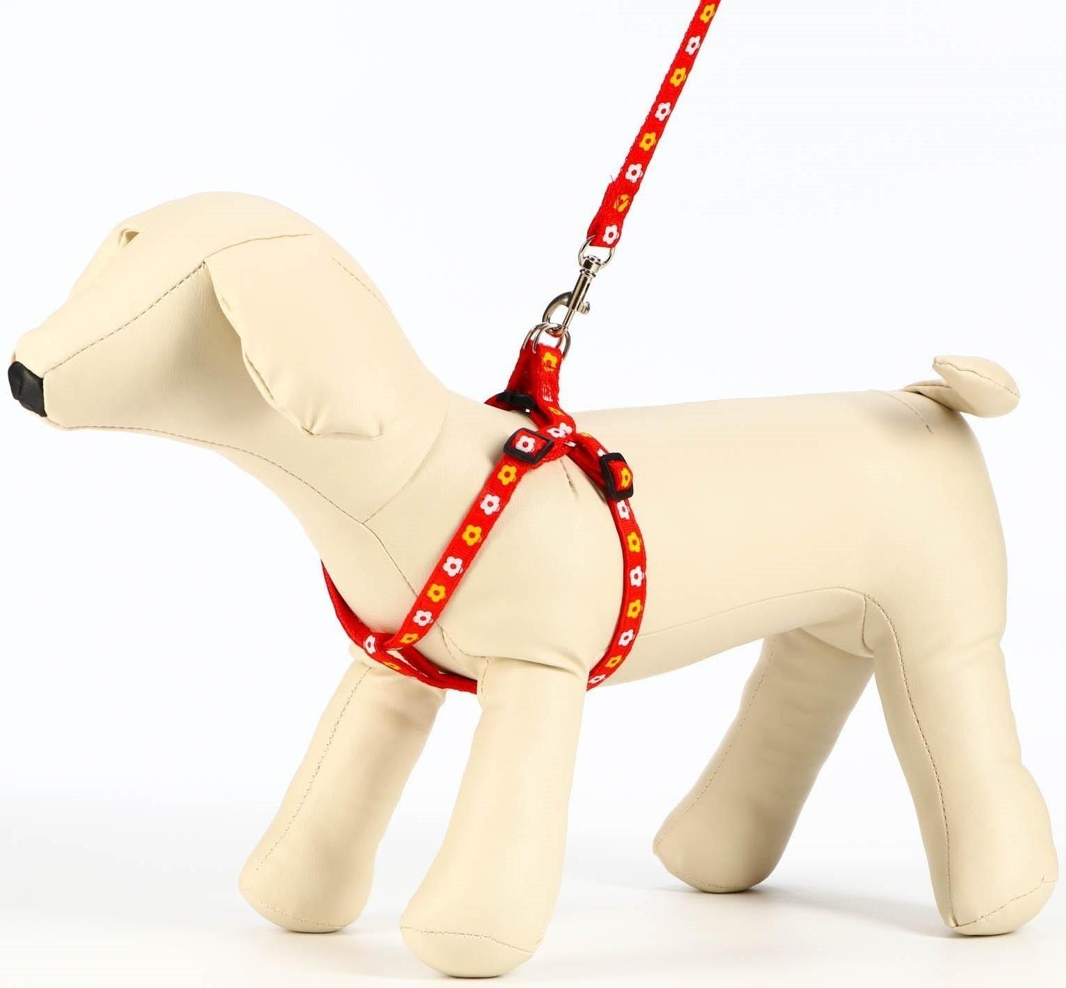 Комплект прошитый 