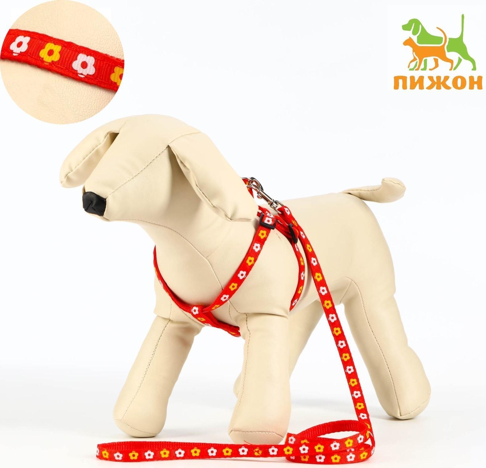 Комплект прошитый 