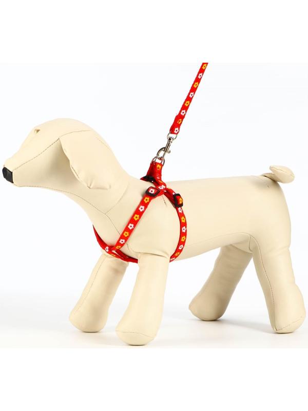 Комплект прошитый 