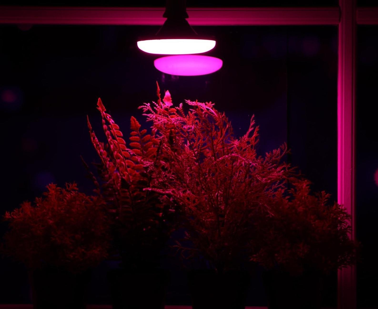 Фитолампа светодиодная, UFO, E27, 16 Вт, IP20, 220 В, d=120 мм, 120°, мультиспектральная