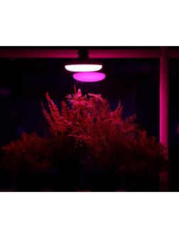 Фитолампа светодиодная, UFO, E27, 16 Вт, IP20, 220 В, d=120 мм, 120°, мультиспектральная