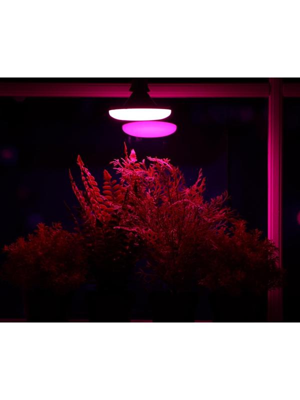 Фитолампа светодиодная, UFO, E27, 16 Вт, IP20, 220 В, d=120 мм, 120°, мультиспектральная