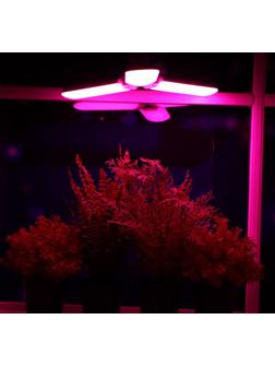 Фитолампа светодиодная, E27, 24 Вт, 220 В, складная