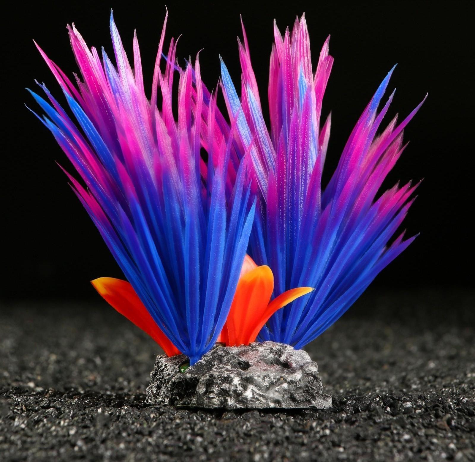 Растение искусственное аквариумное, 18 х 10 х 11,5 см, красно-фиолетовый