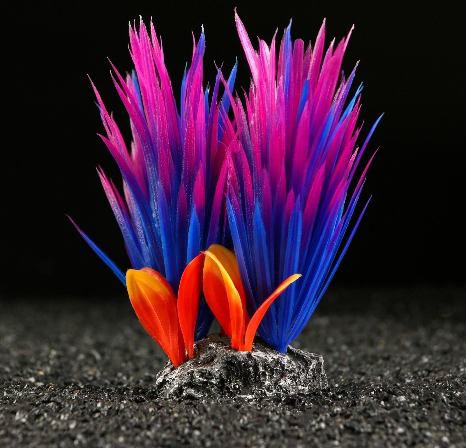 Растение искусственное аквариумное, 18 х 10 х 11,5 см, красно-фиолетовый