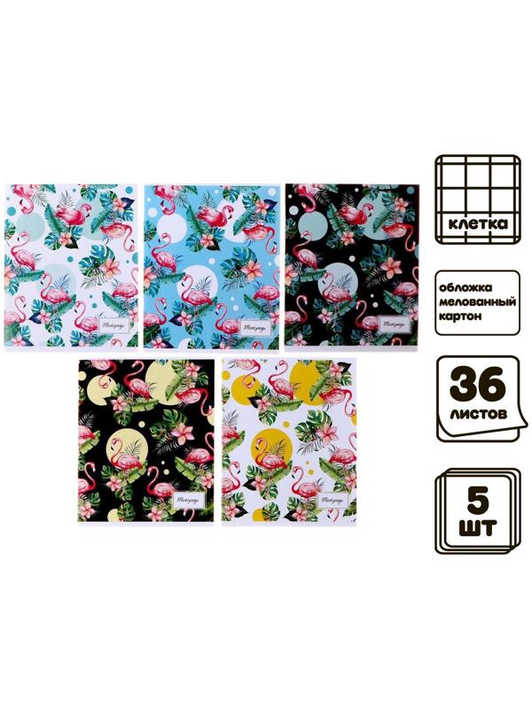 Комплект тетрадей из 5 шт, 36 листов, клетка, Фламинго, обложка мелованный картон, блок офсет