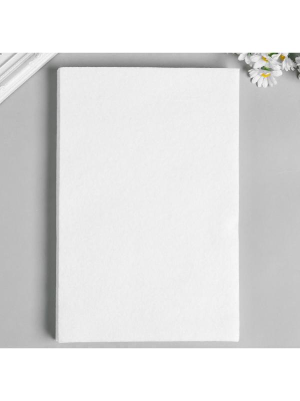 Фетр  мягкий  2мм 20х30 см цв.660 белый