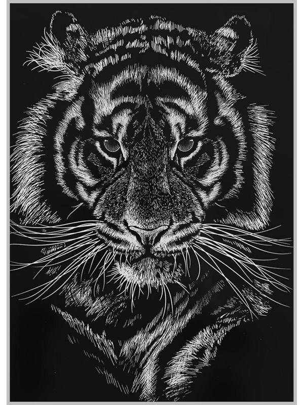 Термотрансфер «Портрет тигра», 22 × 28 см