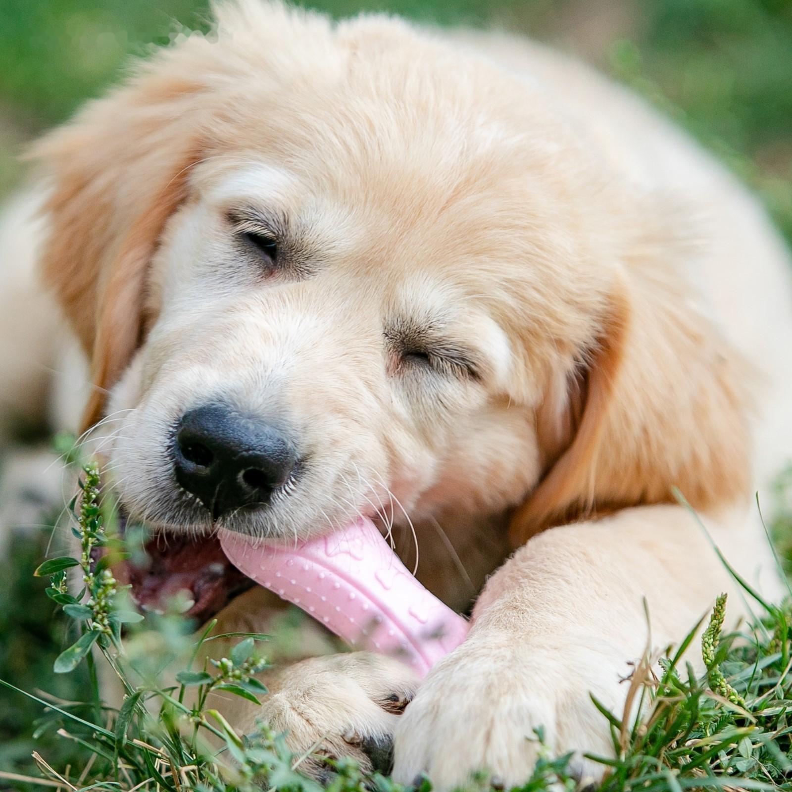 Игрушка плавающая 