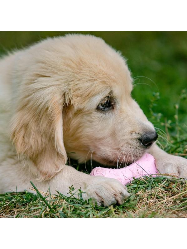 Игрушка плавающая 