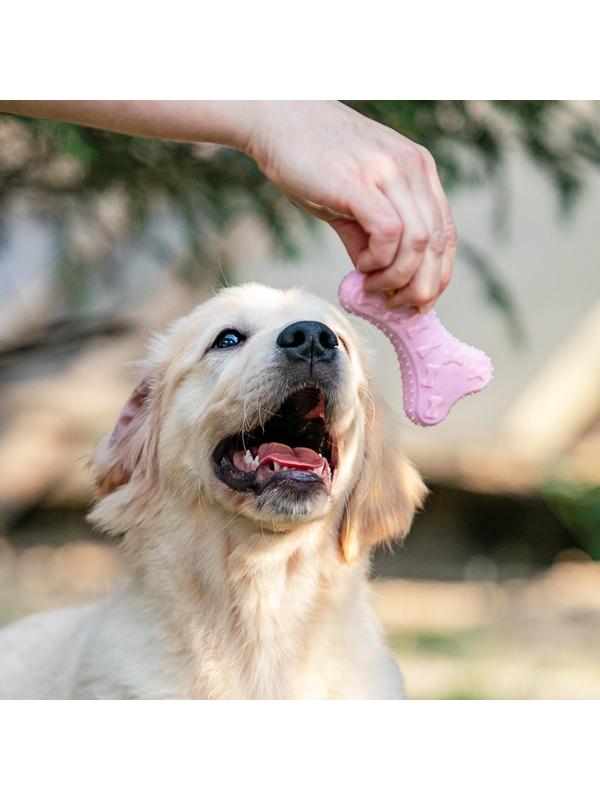 Игрушка плавающая 