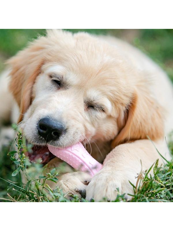 Игрушка плавающая 