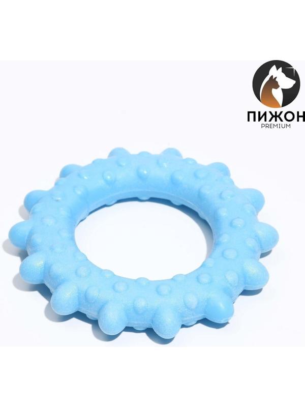 Игрушка плавающая для собак 