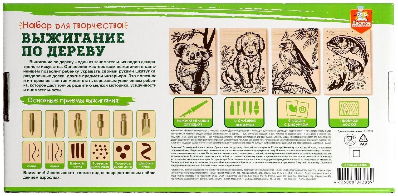 Набор для выжигания по дереву (аппарат с насадками, доски 5 шт.)