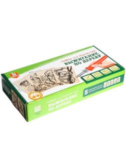 Набор для выжигания по дереву (аппарат с насадками, доски 5 шт.)