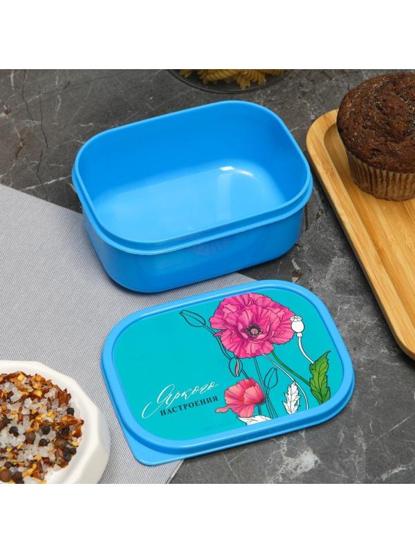 Ланч бокс «Яркого настроения»,0,5 л