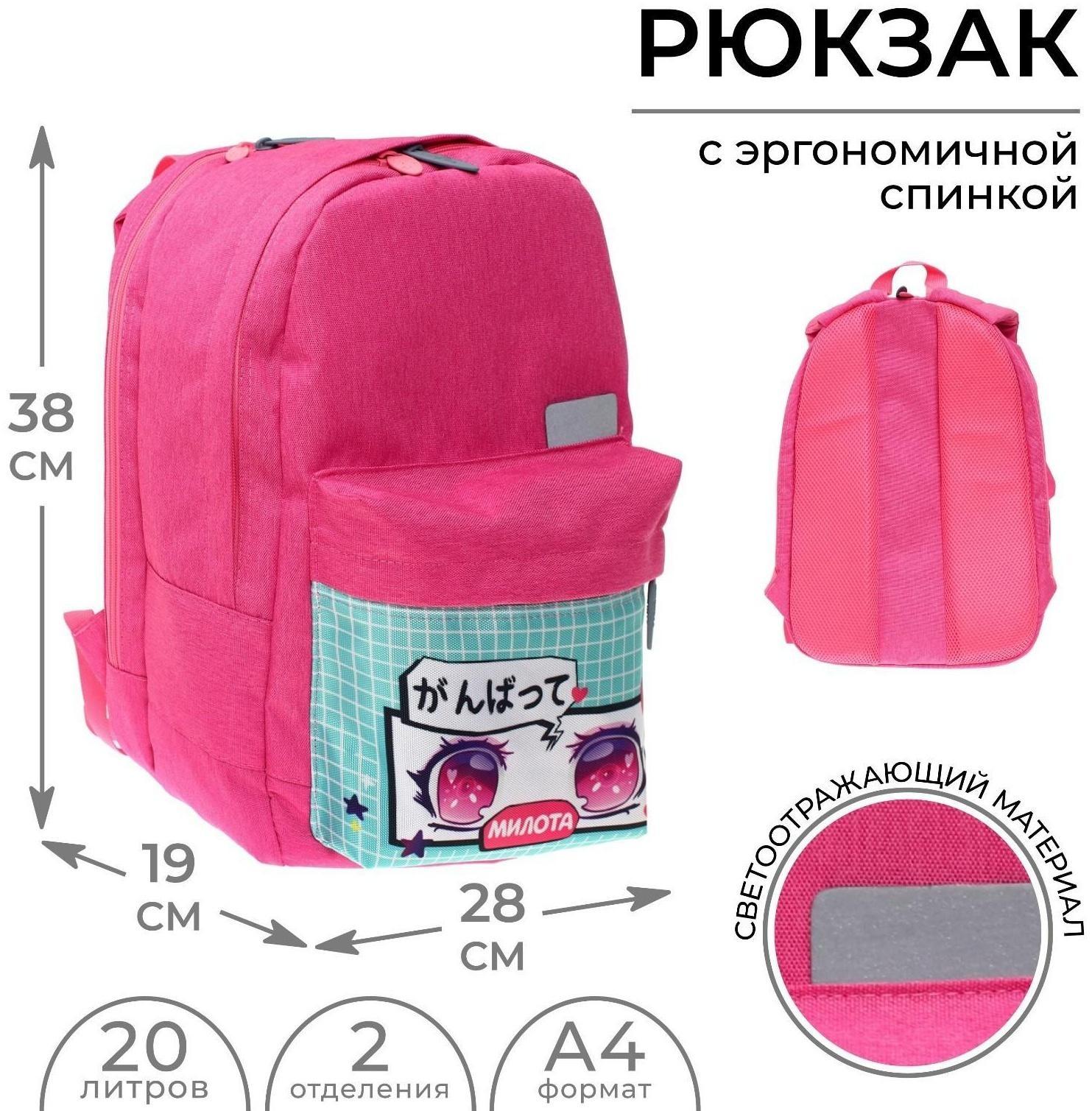 Рюкзак молодёжный, 38 х 28 х 19 см, эргономичная спинка, Calligrata Э 