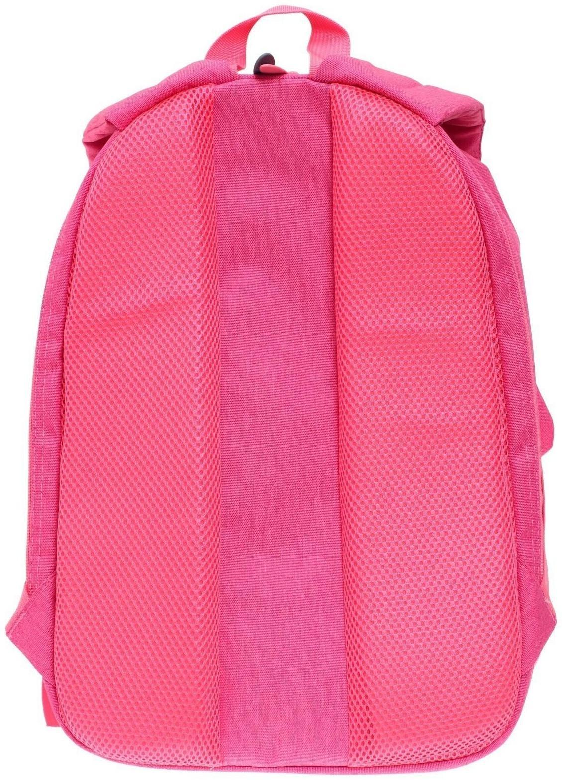 Рюкзак молодёжный, 38 х 28 х 19 см, эргономичная спинка, Calligrata Э 