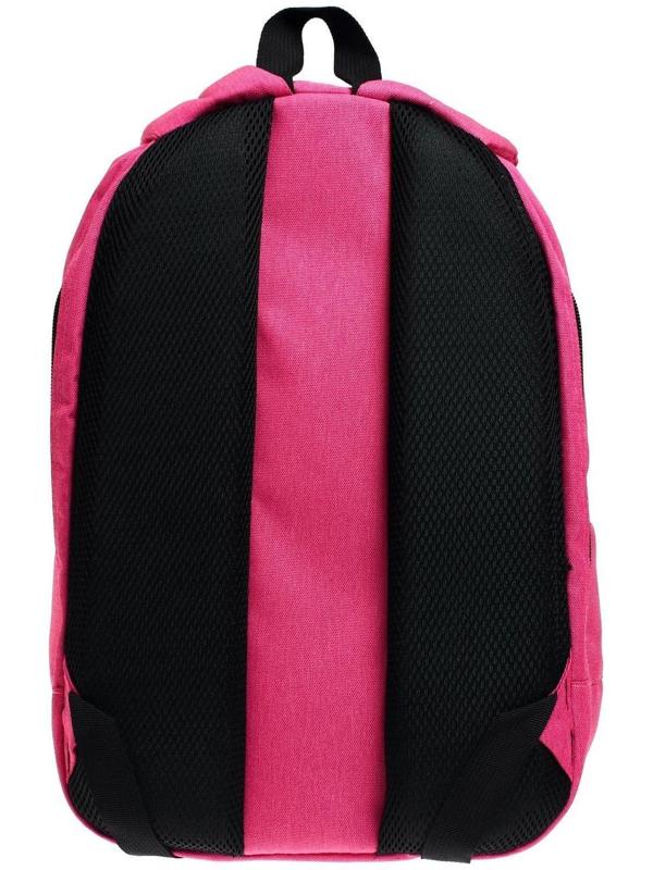 Рюкзак молодёжный, 38 х 28 х 19 см, эргономичная спинка, Calligrata Э 