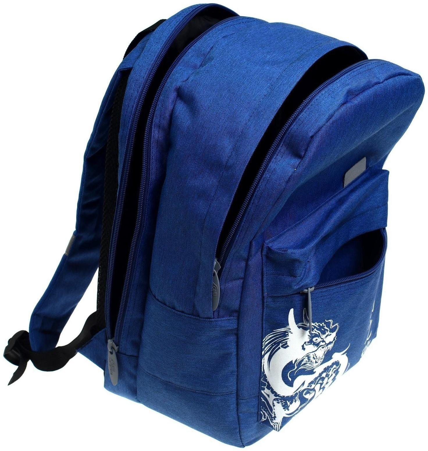 Рюкзак молодёжный, 38 х 28 х 19 см, эргономичная спинка, Calligrata Э 