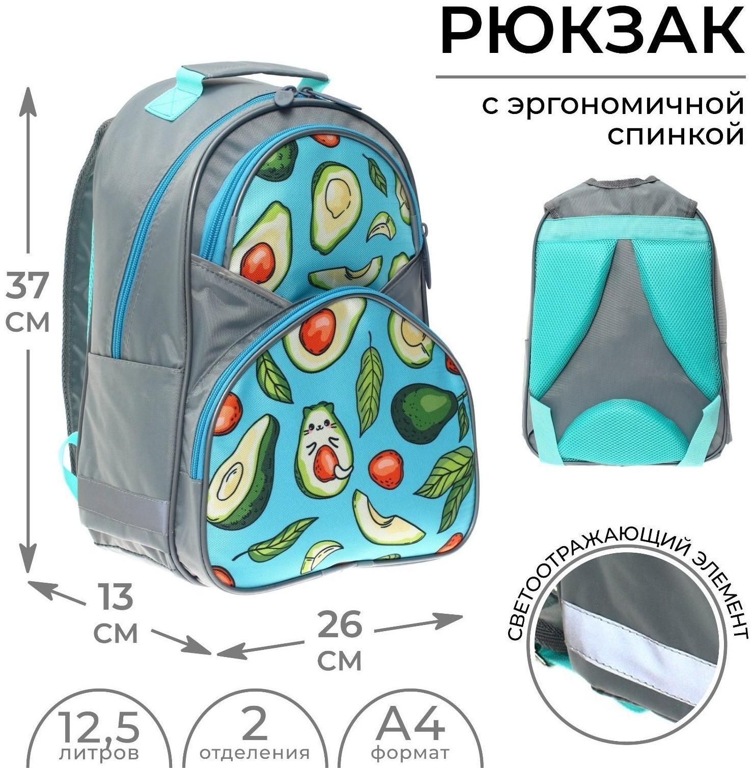 Рюкзак школьный, 37 х 26 х 13 см, эргономичная спинка, Calligrata АН 