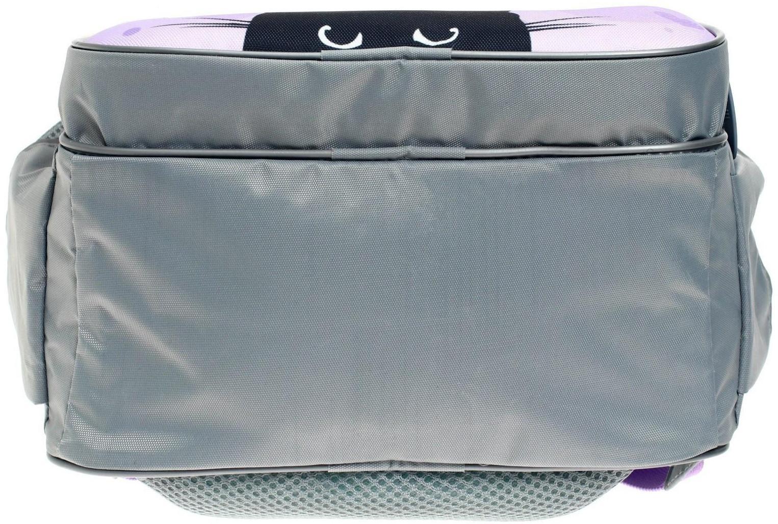 Рюкзак школьный, 37 х 26 х 13 см, эргономичная спинка, Calligrata ОРТ 