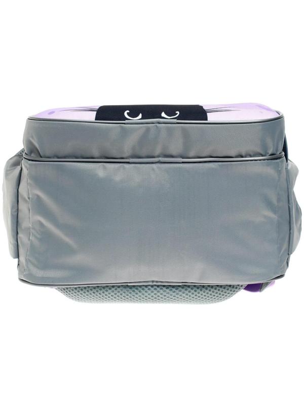 Рюкзак школьный, 37 х 26 х 13 см, эргономичная спинка, Calligrata ОРТ 