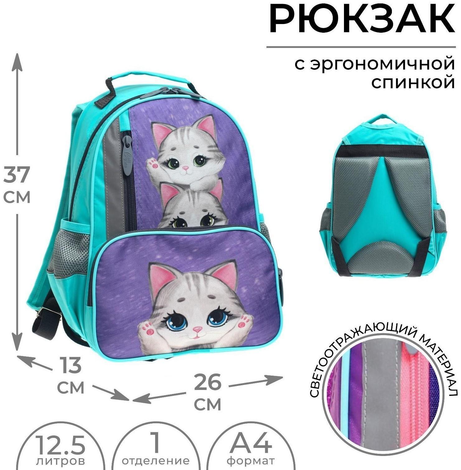 Рюкзак школьный, 37 х 26 х 13 см, эргономичная спинка, Calligrata ОРТ 