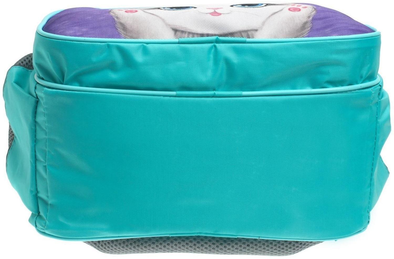 Рюкзак школьный, 37 х 26 х 13 см, эргономичная спинка, Calligrata ОРТ 