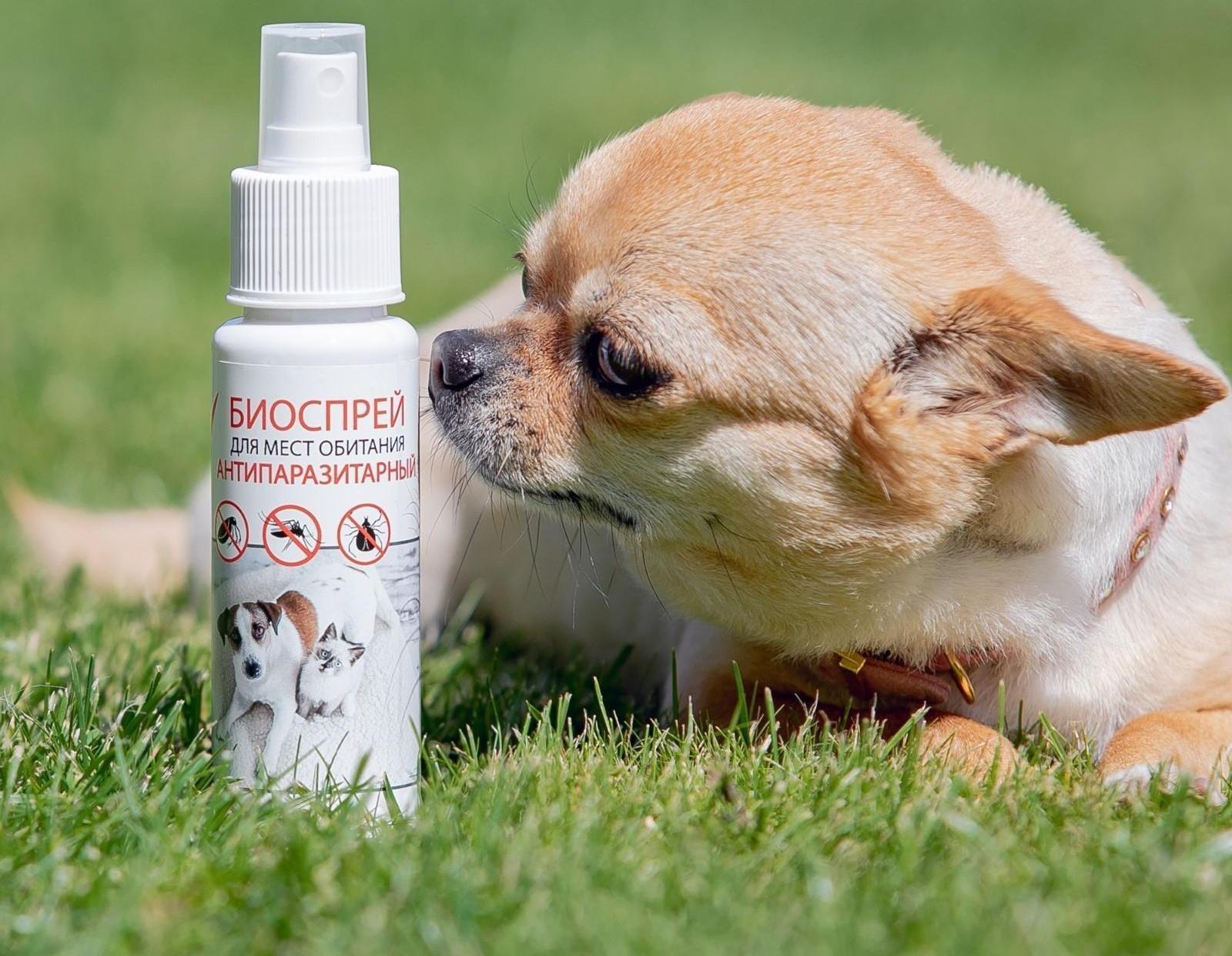 Биоспрей антипаразитарный 
