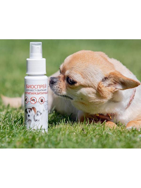 Биоспрей антипаразитарный 