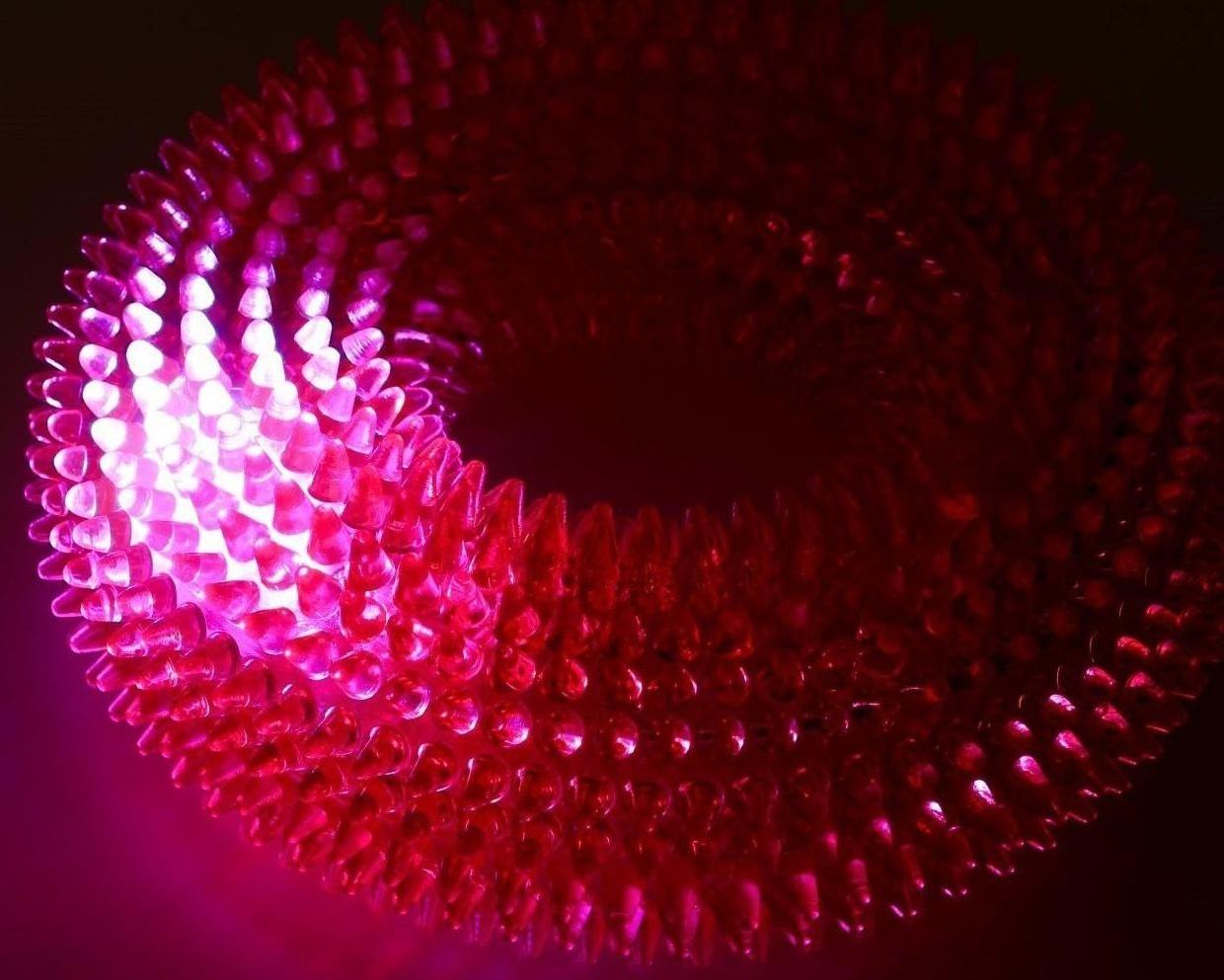 Игрушка светящаяся для собак 