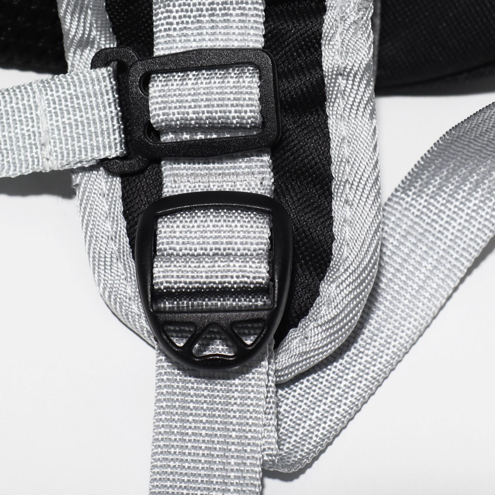 Рюкзак для переноски животных прозрачный, 33 х 25 х 41 см