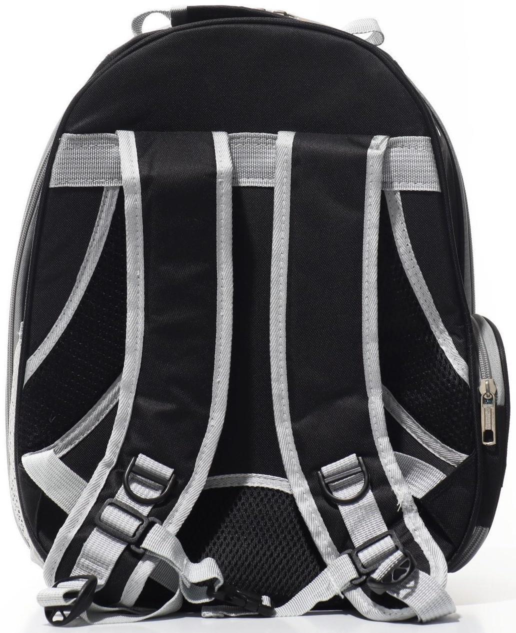 Рюкзак для переноски животных прозрачный, 33 х 25 х 41 см