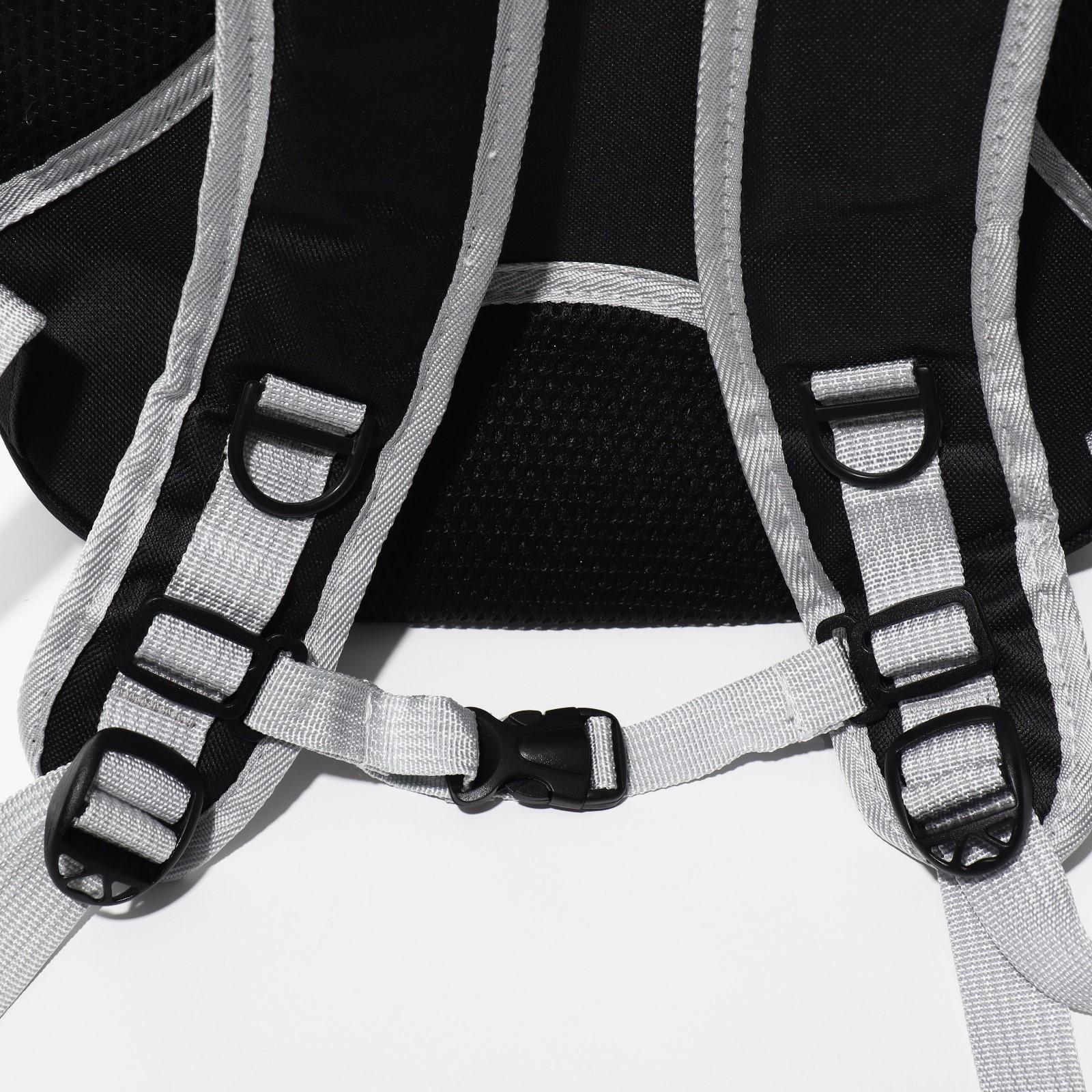 Рюкзак для переноски животных прозрачный, 33 х 25 х 41 см