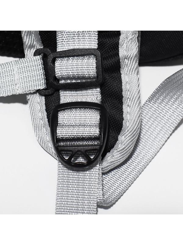 Рюкзак для переноски животных прозрачный, 33 х 25 х 41 см