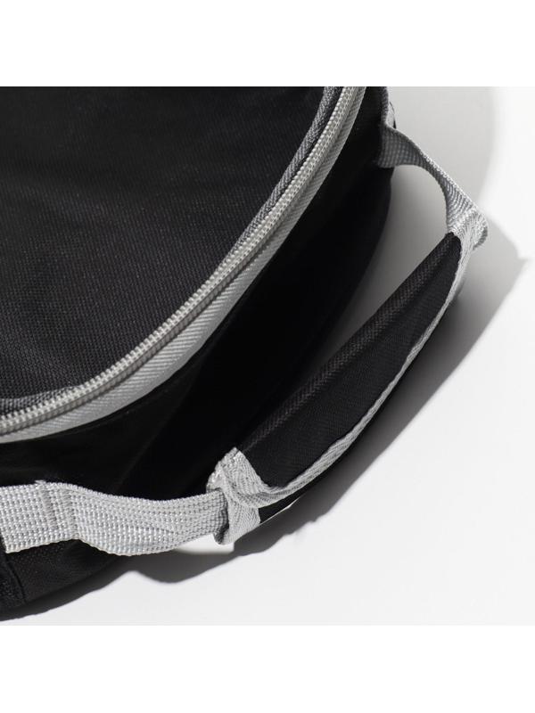 Рюкзак для переноски животных прозрачный, 33 х 25 х 41 см