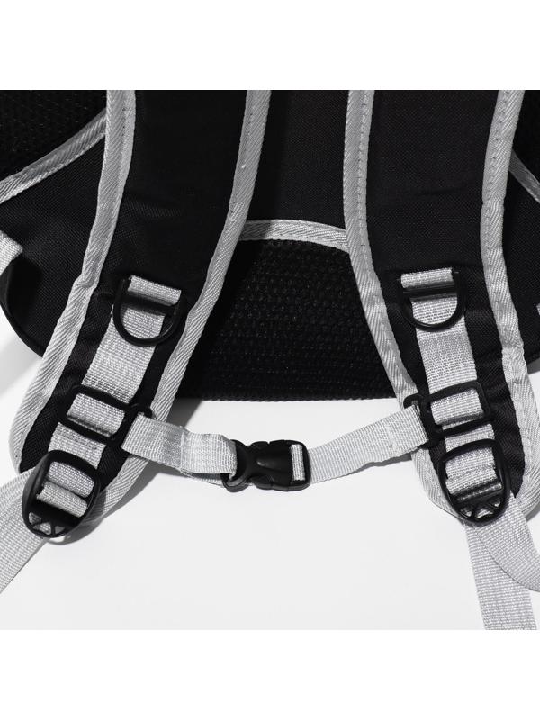 Рюкзак для переноски животных прозрачный, 33 х 25 х 41 см