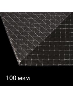 Плёнка полиэтиленовая, армированная леской, толщина 100 мкм, 10 × 2 м, УФ