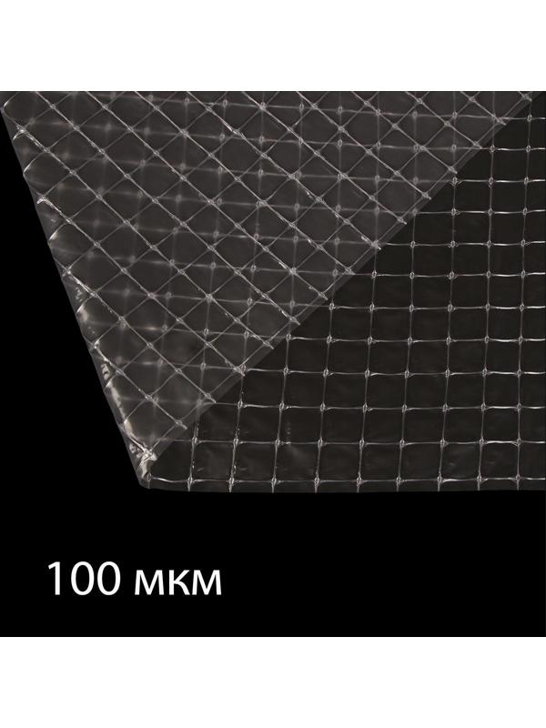 Плёнка полиэтиленовая, армированная леской, толщина 100 мкм, 10 × 2 м, УФ