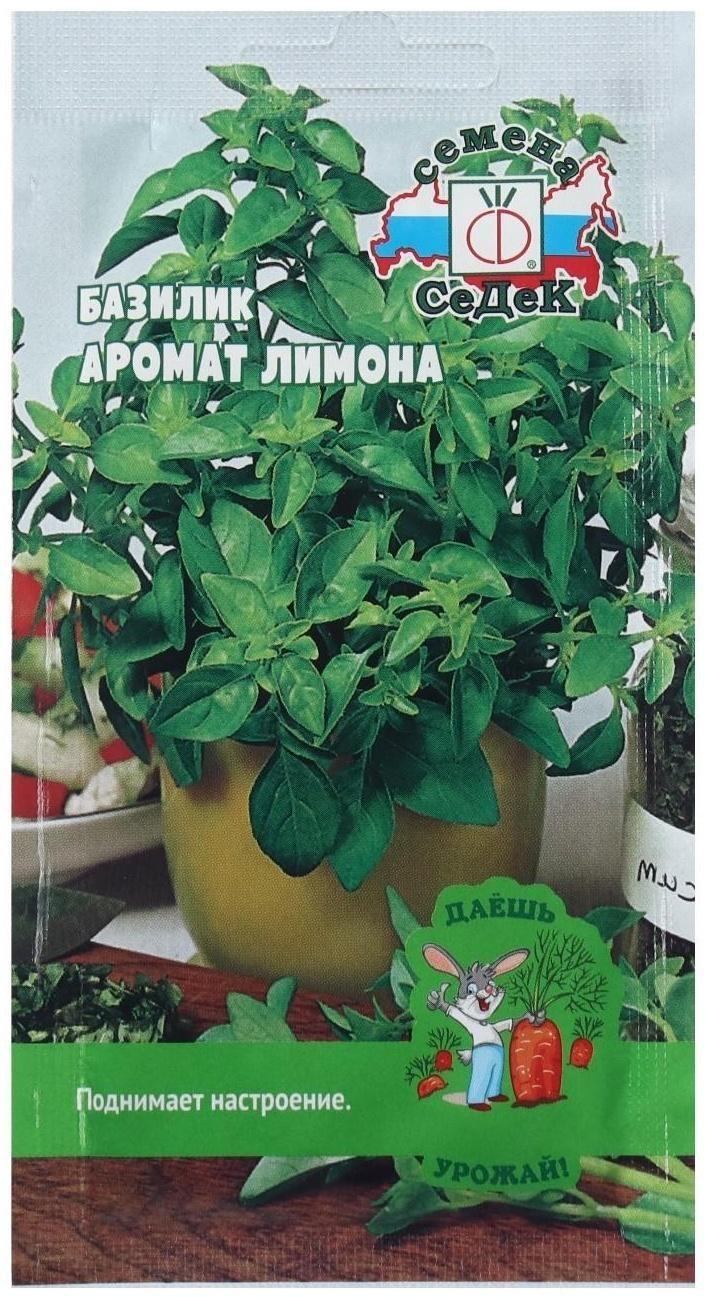 Семена Базилик  