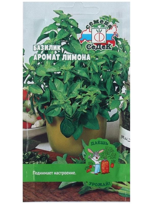 Семена Базилик  