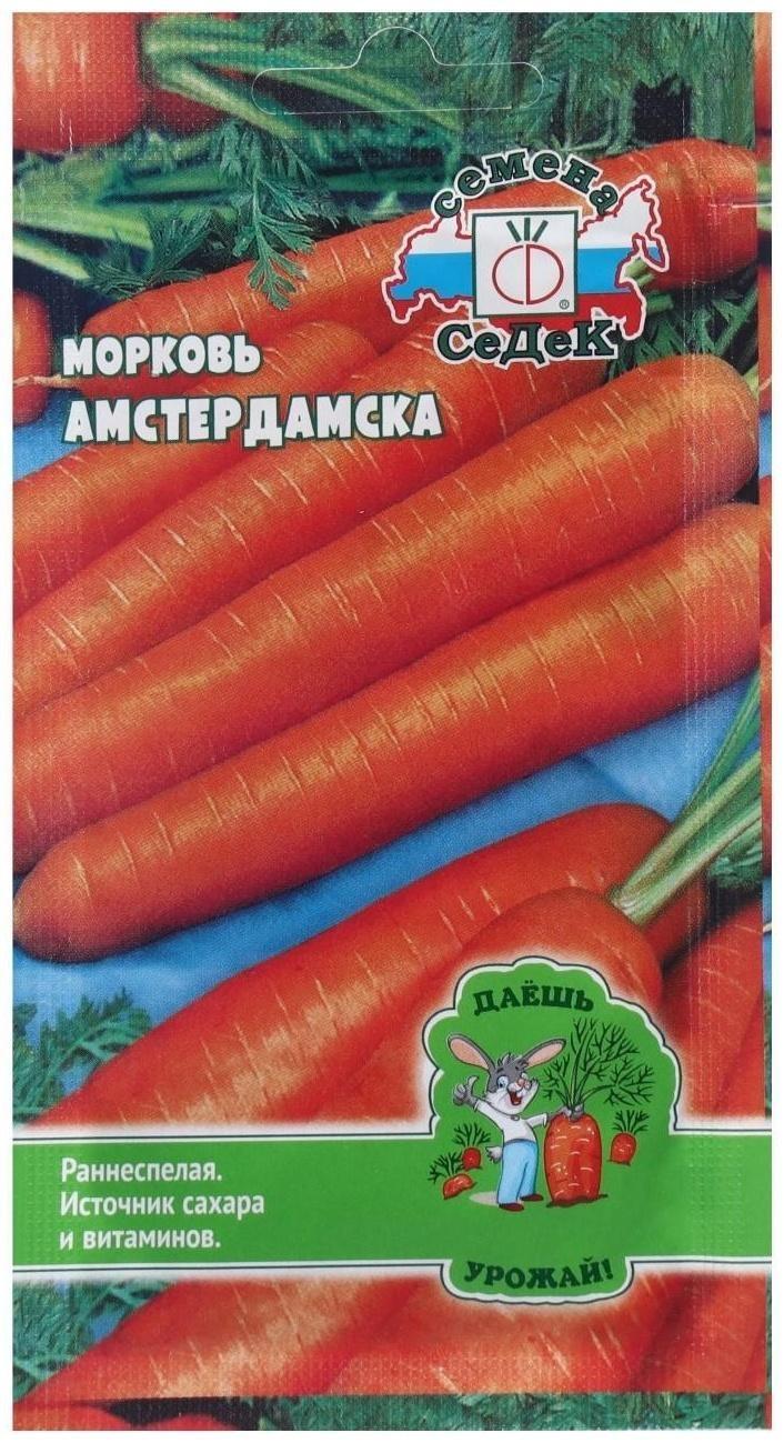 Семена Морковь  