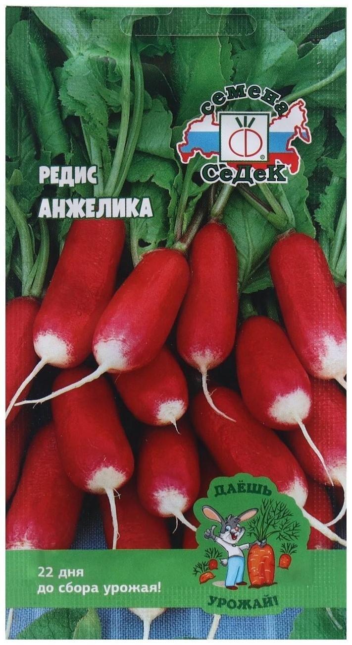 Семена Редис  