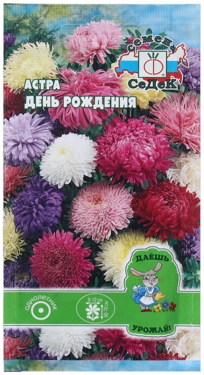 Семена Цветок Астра 