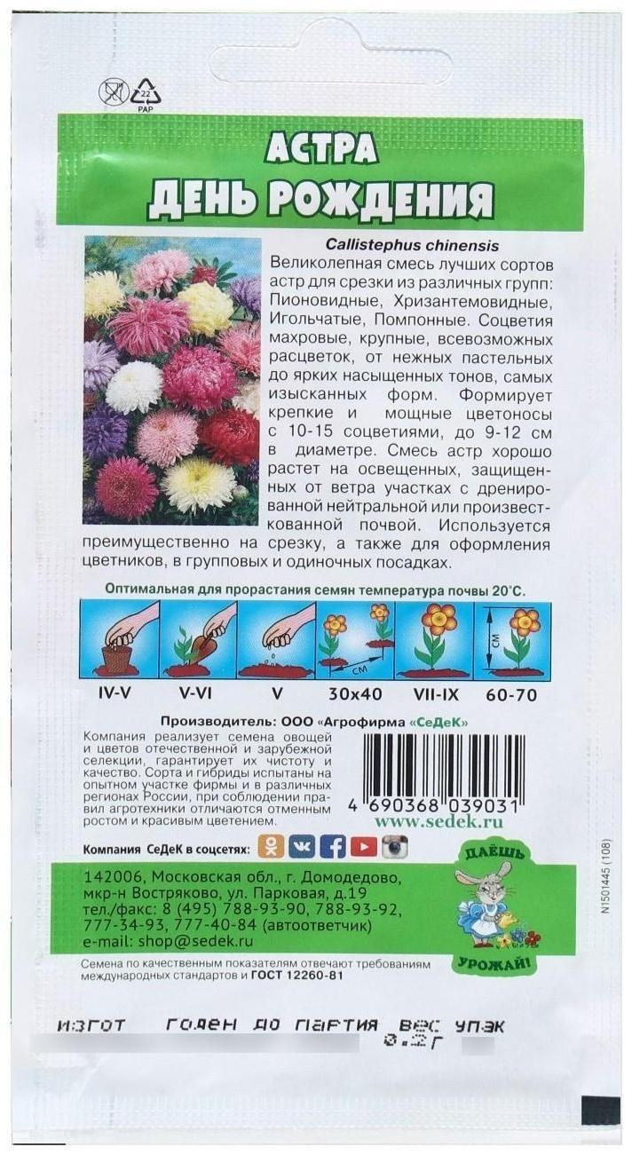 Семена Цветок Астра 