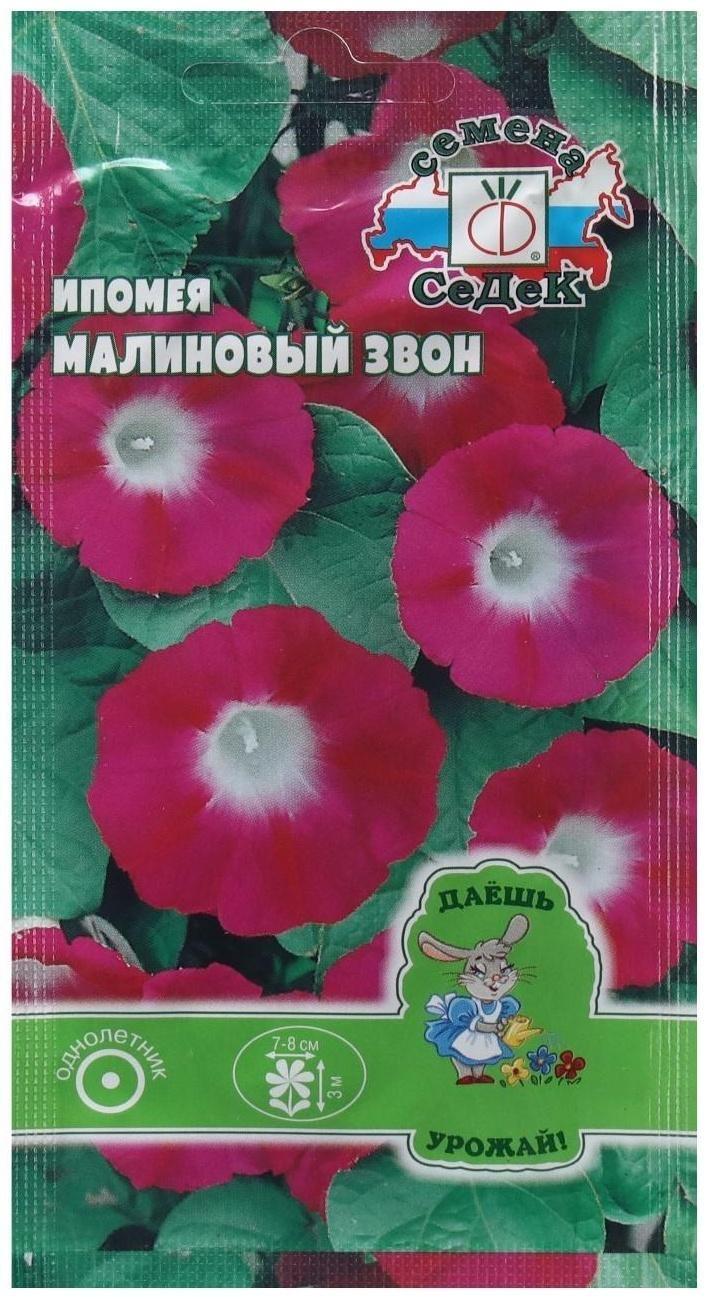 Семена Цветок Ипомея 